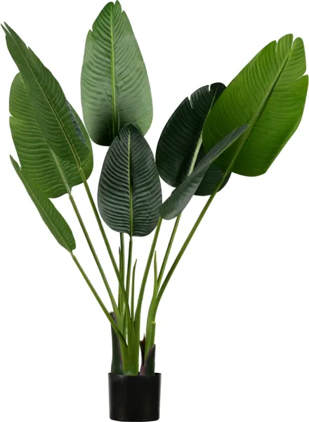 Strelitzia, Künstliche Pflanze, grün, H108x61x50 cm